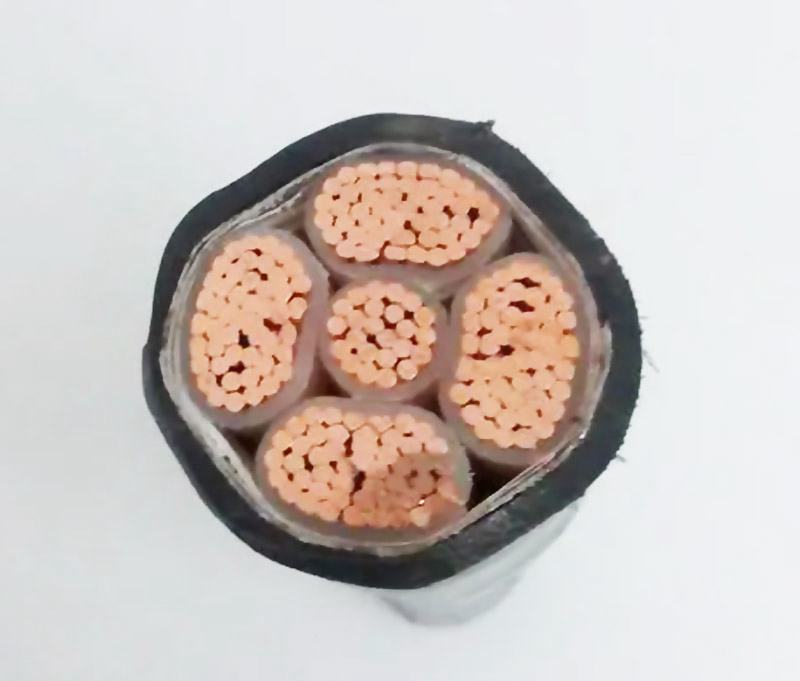 電線電纜損傷